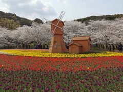 -苏州上方山国家森林公园