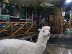 -上海大自然野生昆虫馆(东方明珠·爬宠昆虫探索中心)