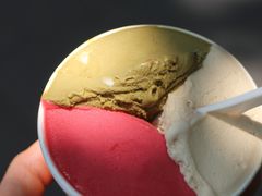 -Dip in Gelato(富民路店)