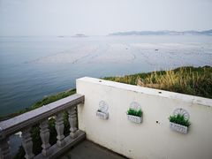 -枸杞岛