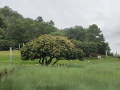 -红花山公园