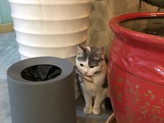 -有何Book(六堰体育馆店)