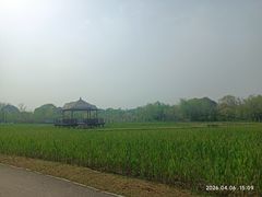 -梁鸿国家湿地公园