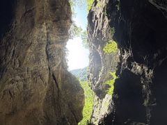 -牛背梁国家森林公园