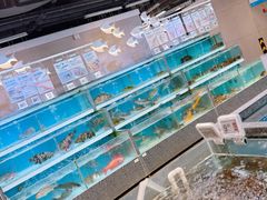 -盒马鲜生(枣园路店)
