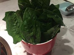 菠菜-捞神煲汤火锅(湖滨商业街店)