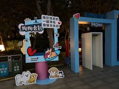 -南翔镇银翔湖公园