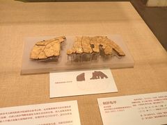 -北京大学赛克勒考古与艺术博物馆