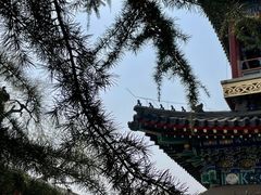 -北京艺术博物馆(万寿寺)