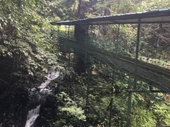 -夏霖九天银瀑风景区