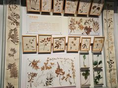 -重庆自然博物馆(新馆)