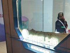 -老板恋上鱼(振华商厦店)