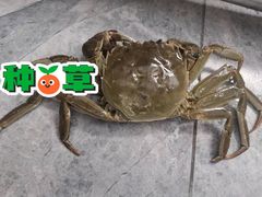 -乡乐园蟹庄·阳澄湖农家乐