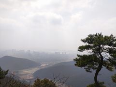 -惠山国家森林公园
