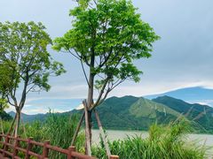 -羚羊峡古栈道森林公园