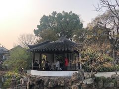 -绿杨馄饨临顿路店