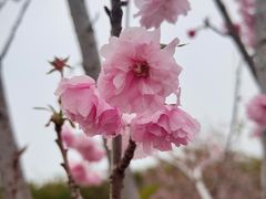 -盈香心动乐园