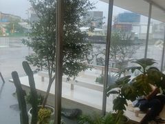 -喜茶(珠海华发商都店)