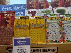 -中国体育彩票(上海月星环球港店)