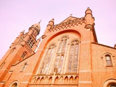 -上海佘山国家森林公园西佘山园