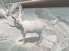 -中国湿地博物馆