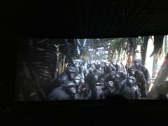 -汉阳天河电影城(王家湾店)