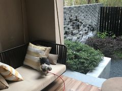 -上海崇明金茂凯悦酒店