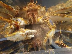 -海景壹号大酒店(滨湖店)