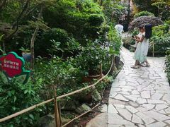 -阳光山水江湖菜馆(西山龙门店)