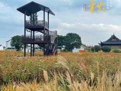-莲花岛景区