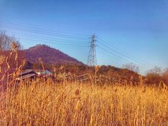 -西湖风景区-江洋畈生态公园