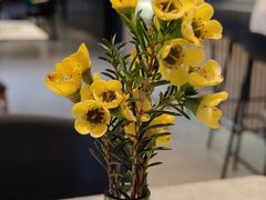 -gaga(深圳福田星河COCO Park店)