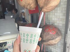 -洪馨椰子