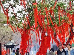 -西安青龙寺遗址景区