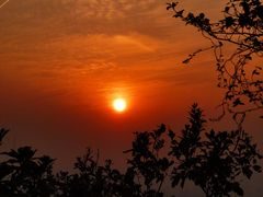 -杭州半山国家森林公园