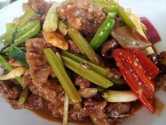 姜葱牛腩-辉记虾塘海鲜农庄