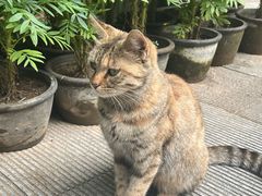 -红螺寺