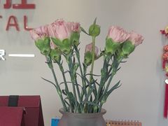 -土豆口腔(凤凰北总店)