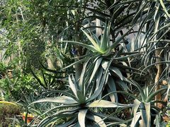 -国家植物园南园