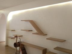 -猫腻·猫咖·撸猫馆(星光大道店)