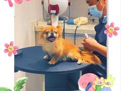 -宠颐生动物医院·小陆分院