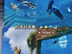 -珠海长隆海洋王国