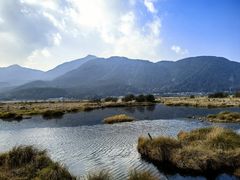 -腾冲北海湿地