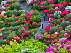 -贵州百里杜鹃风景名胜区