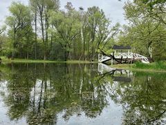 -上海共青森林公园