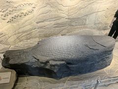 -白鹤梁水下博物馆