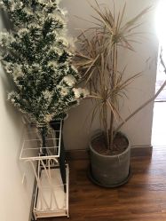 -THE LOG SALON 记录