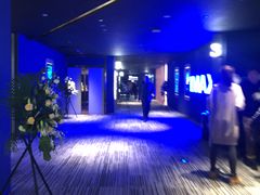 -万象影城(石家庄万象城IMAX激光店)