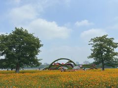 -海珠湖公园