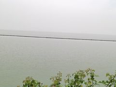 -贡湖湾湿地公园